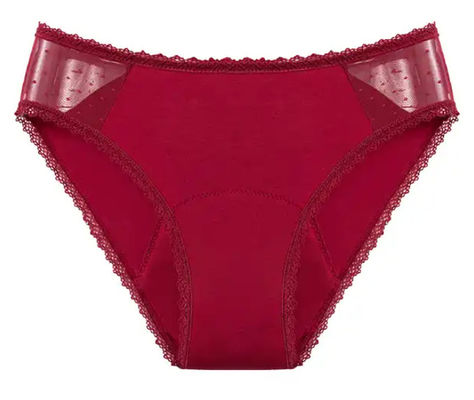 Reusable Heavy Female Period Panties Underwear Set Mesh Lace Menstrual Cycle Panties